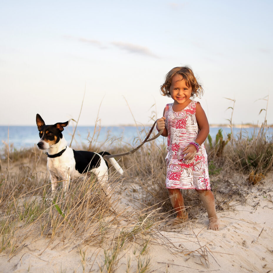 A little girl is walking her dog on the beach